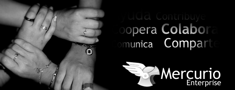 Mercurio Enterprise
