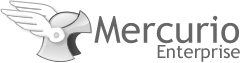 Mercurio Enterprise